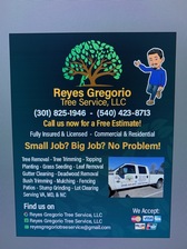 Avatar for Reyes Gregorio Tree Service