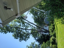 Avatar for Smith Tree Removal and Lawn Care