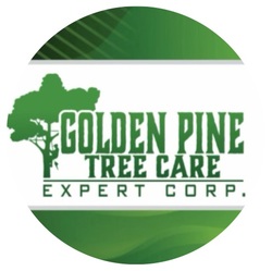 Golden Pine Tree Expert Corp. logo