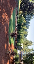 Avatar for S&R Landscape Maintenance - Unlicensed Contractor