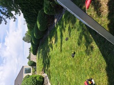 Logo for Morgan & Family Lawn Care
