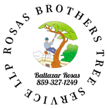 Logo for Rosas Brothers Tree Service