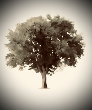 Avatar for Environmentally Experienced