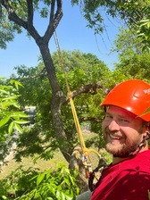 Utah Roots Tree Care logo