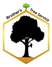 BROTHER'S TREE SERVICES LLP logo