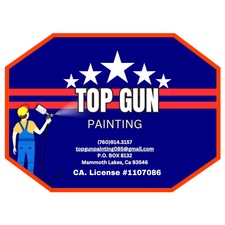 Logo for Top Gun Painting