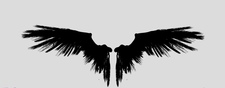 Logo for Angelic Touch Cleaning  LLC