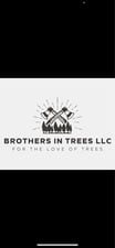 Logo for Brothers in Trees
