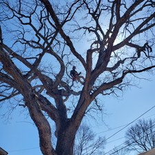 Avatar for Urban Green Land Escapes