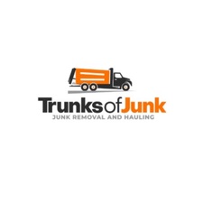 Avatar for Trunks of Junk
