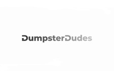 Dumpster Dudes logo