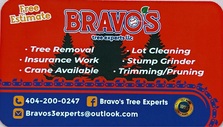 Logo for Bravo's Tree Experts, LLC