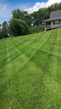 Logo for Clean Cut Landscaping and Irrigation, LLC