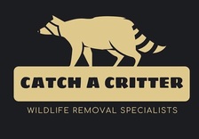 Logo for Catch A Critter