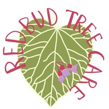 Logo for Redbud Tree Care LLC