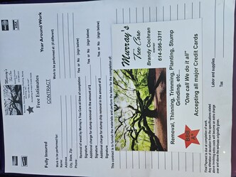 Murray Tree Care logo