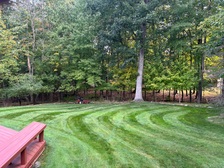 Logo for epic lawn care
