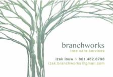 Logo for BranchWorks
