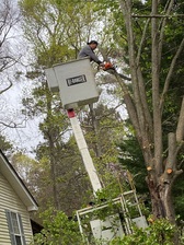 Logo for Luckys Tree Service