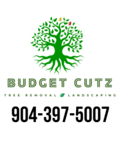 Logo for Budget Cutz