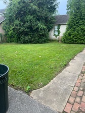 Avatar for Martin Landscaping