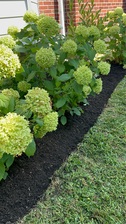 Logo for Martin Landscaping