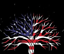 Logo for Veteran Owned Tree Removal