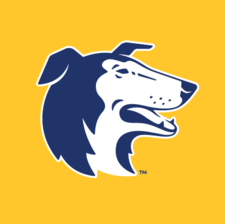 Logo for Dog Guard of Delmarva LLC
