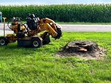 Avatar for John's Stump Grinding