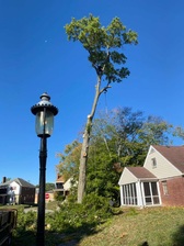 Logo for Catramex LLC