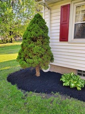 Avatar for Beardslee Home Remodeling and Landscape
