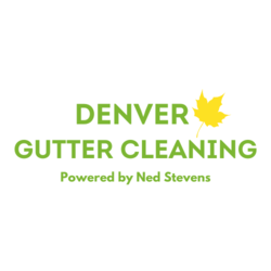 Denver Gutter Cleaning logo