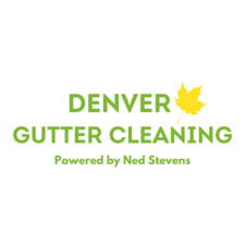 Avatar for Denver Gutter Cleaning