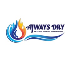 Avatar for Always Dry, LLC