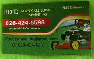 BDD Landscaping and Painting logo