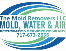 Avatar for The Mold Removers LLC