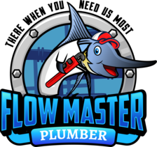 Avatar for FLOW MASTER PLUMBING CORP