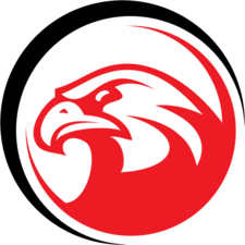 Falcon Electric LLC logo