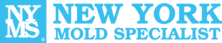 Avatar for New York Mold Specialist