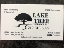 Logo for LAKE TREE LLC