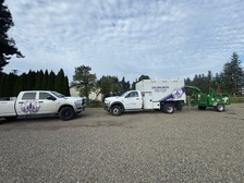 Logo for Purple Heart Tree Service, LLC