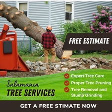 Salamanca Tree and Landscaping Corp logo