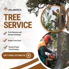 Logo for Salamanca Tree and Landscaping Corp
