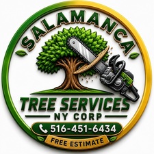 Avatar for Salamanca Tree and Landscaping Corp