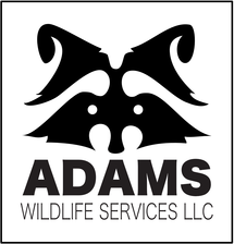 Logo for Adams Wildlife Services, LLC