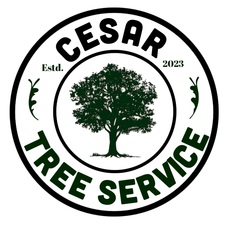 Avatar for Cesar Tree Service LLC