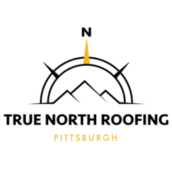 TRUE NORTH ROOFING & MAINTENANCE LLC logo