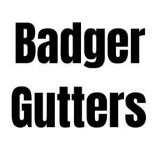 Avatar for Badger Gutters
