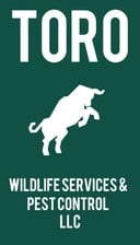 Avatar for Toro Wildlife Services and Pest Control, LLC