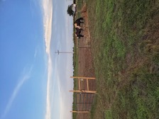 Sterling Silver Fencing Co, LLC logo